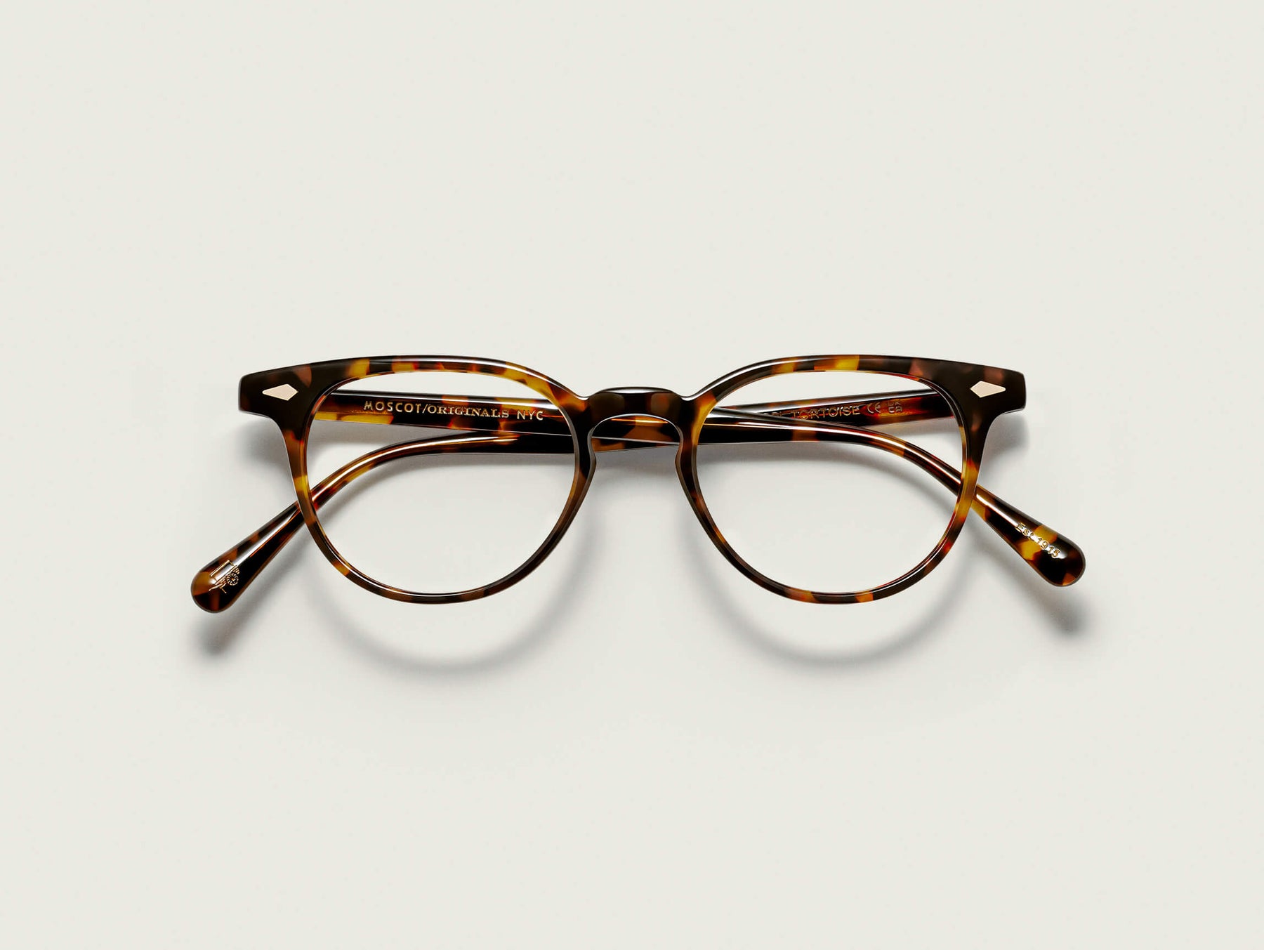 The FEVEL in Tortoise The FEVEL in Tortoise