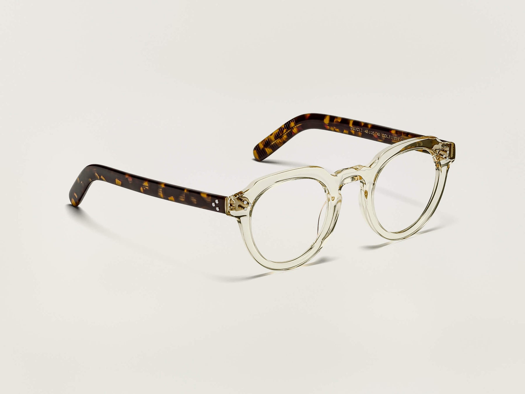 The GAVOLT in Flesh/Tortoise The GAVOLT in Flesh/Tortoise