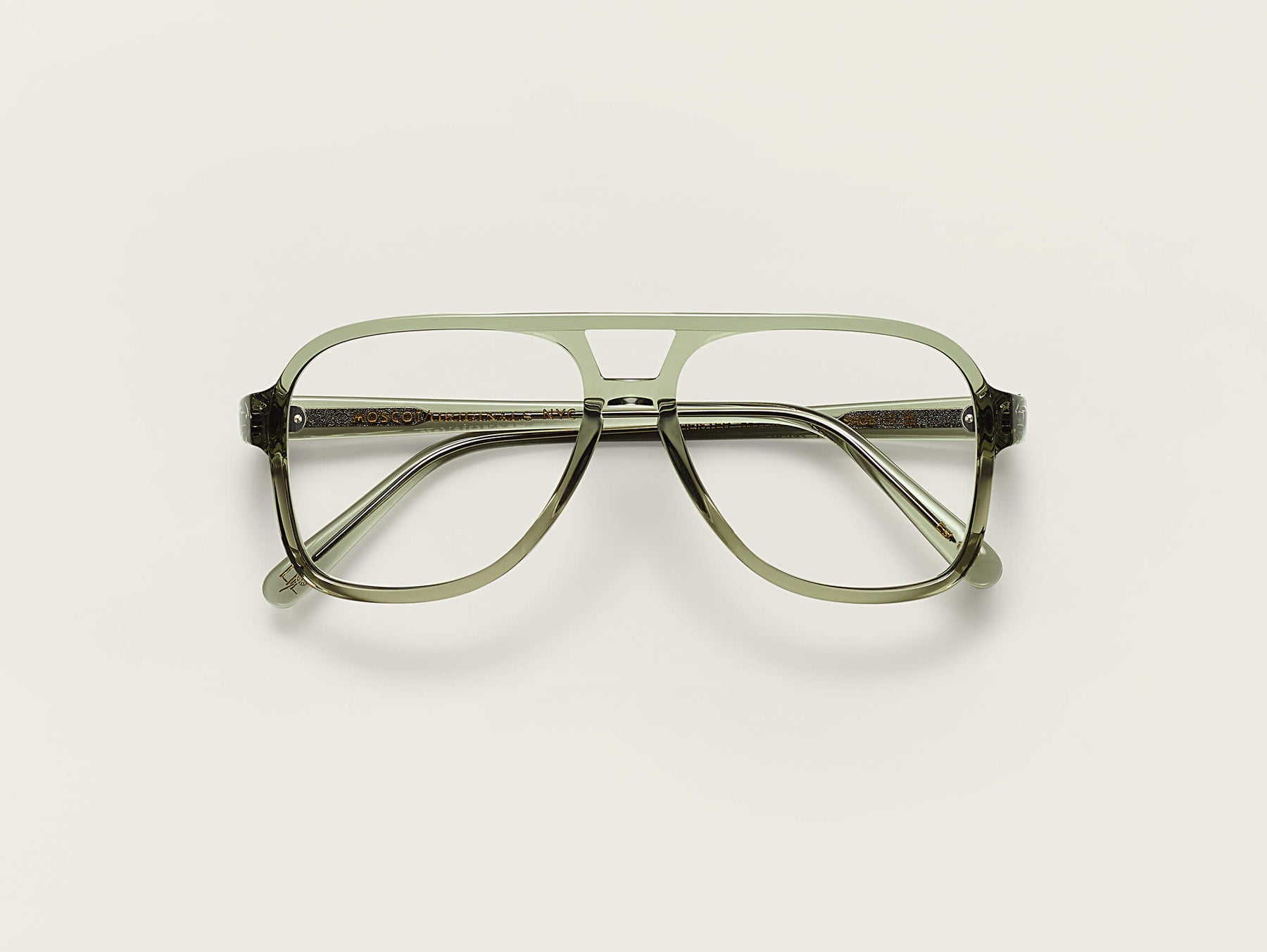 The SHEISTER in Sage The SHEISTER in Sage