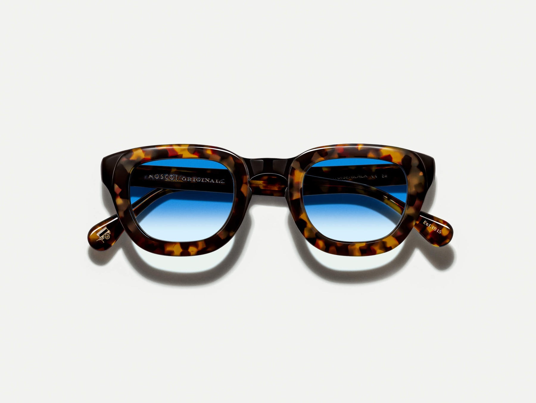 The TELENA in Tortoise/Black with Broadway Blue Fade Tinted Lenses The TELENA in Tortoise/Black with Broadway Blue Fade Tinted Lenses