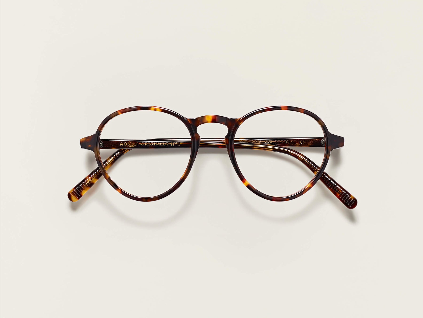 The BLUMA in Tortoise The BLUMA in Tortoise
