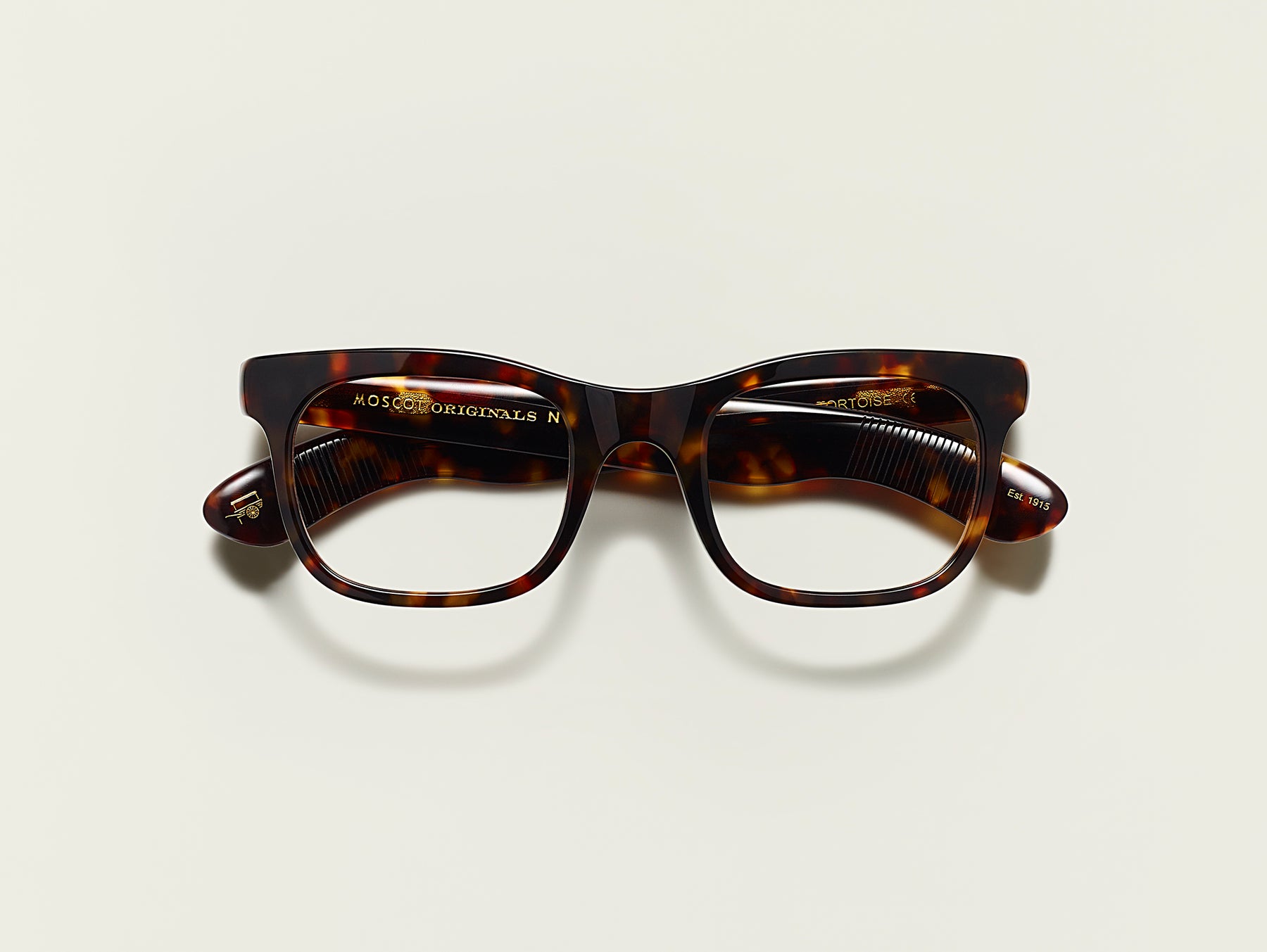 The HITSIK in Tortoise The HITSIK in Tortoise