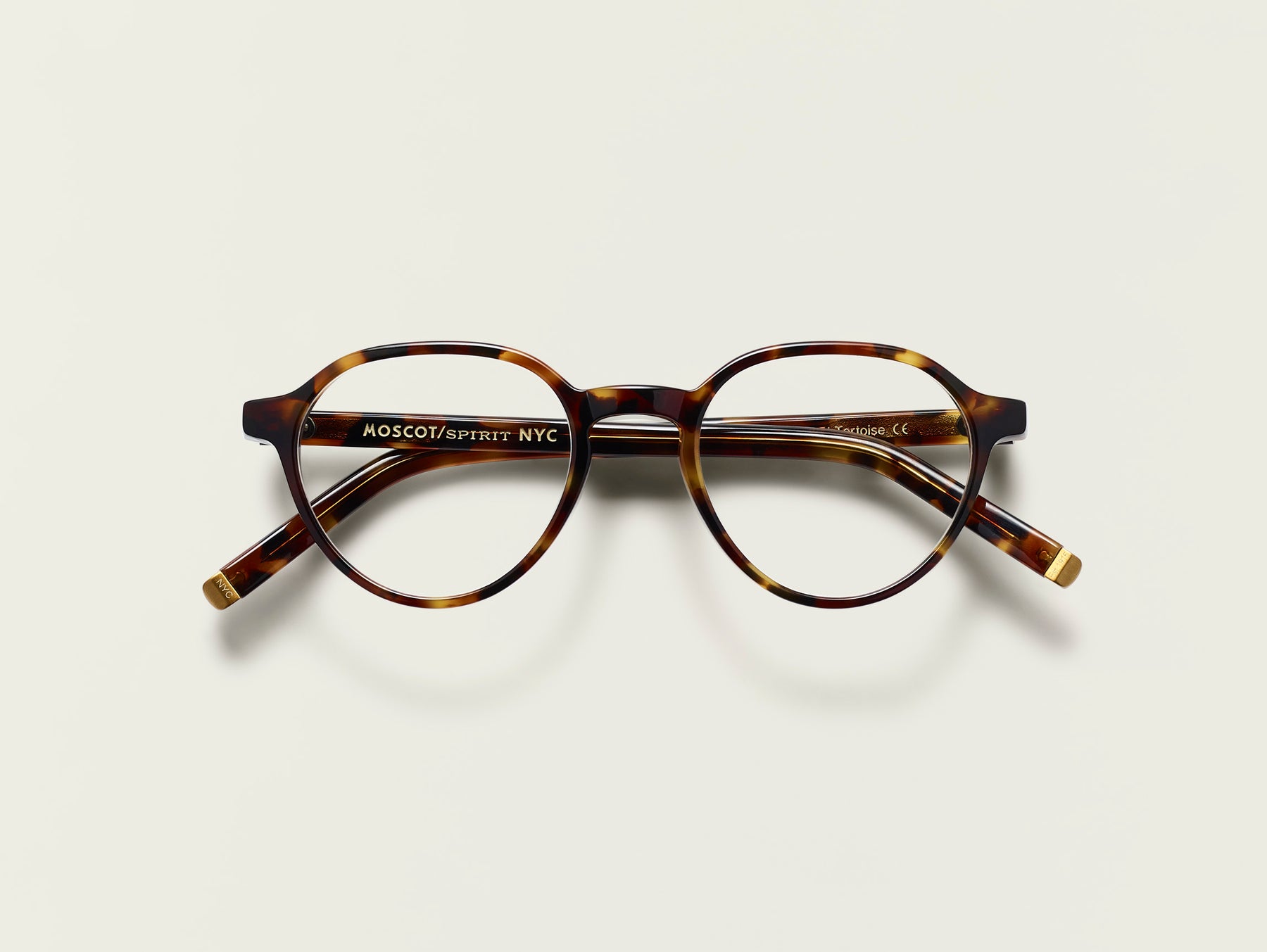 The LES in Spot Tortoise The LES in Spot Tortoise