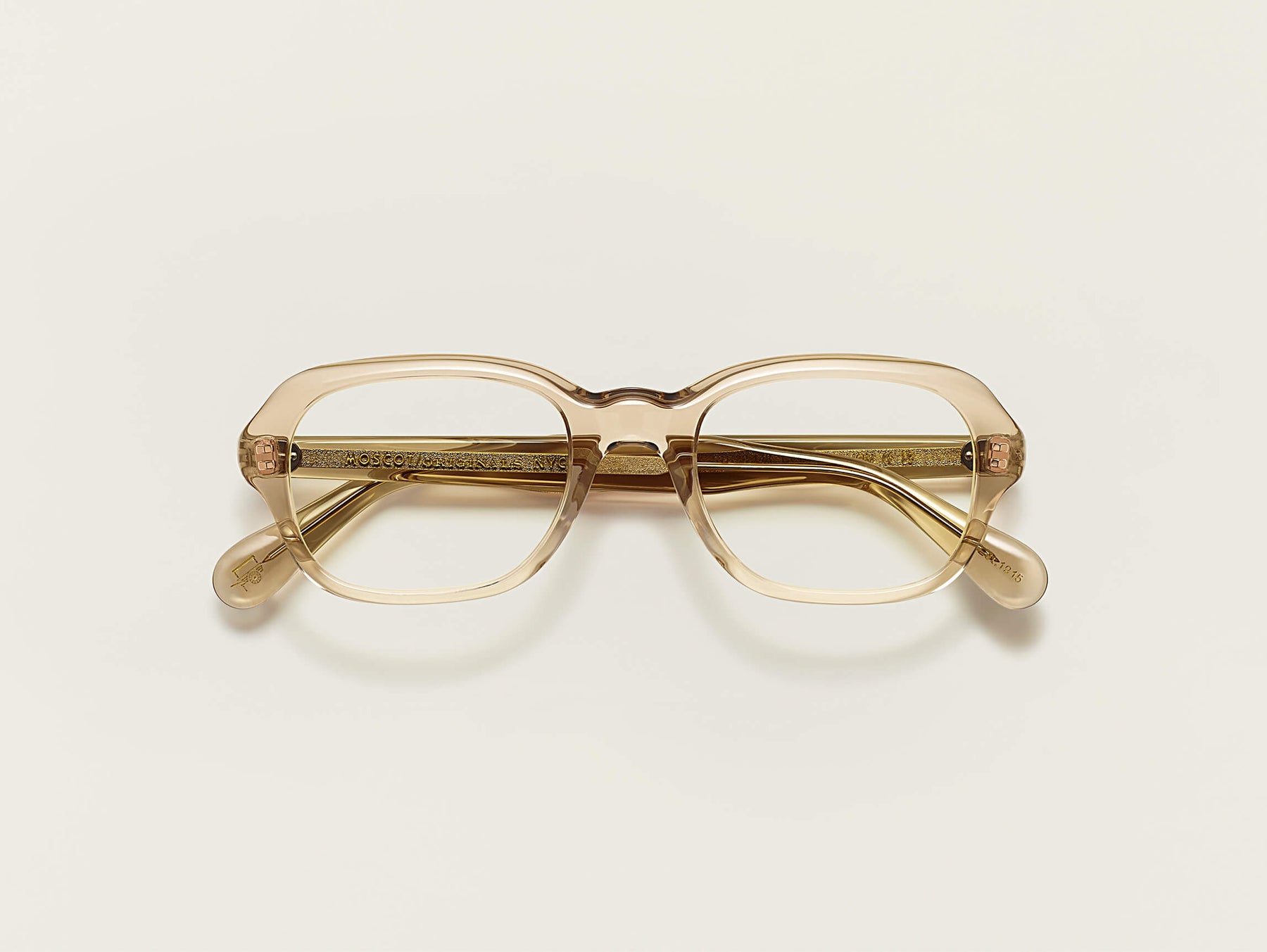 The MESHUG in Cinnamon The MESHUG in Cinnamon