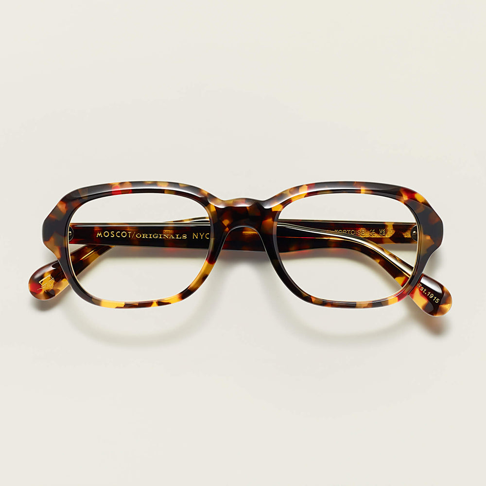 #color_tortoise | The MESHUG in Tortoise