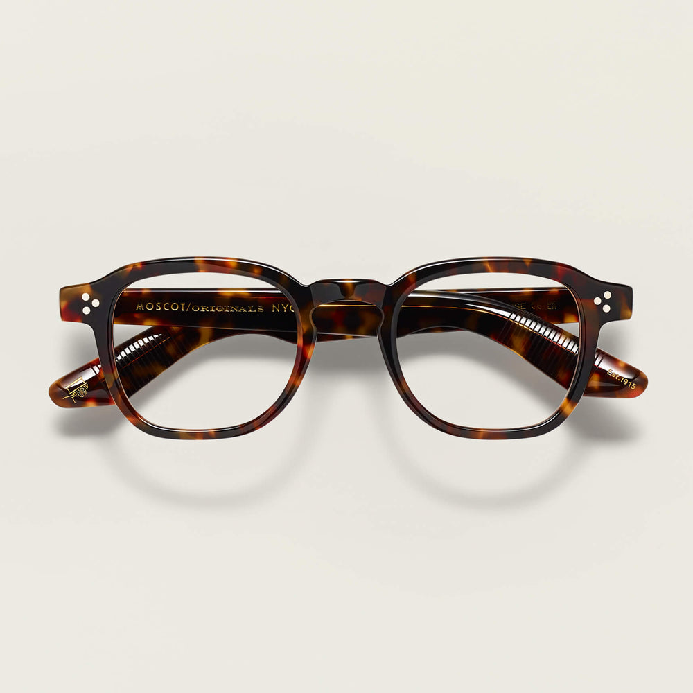 #color_tortoise | The MOMZA in Tortoise