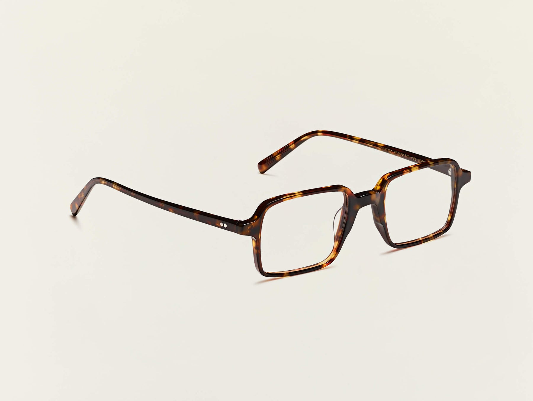 The SHINDIG in Tortoise The SHINDIG in Tortoise