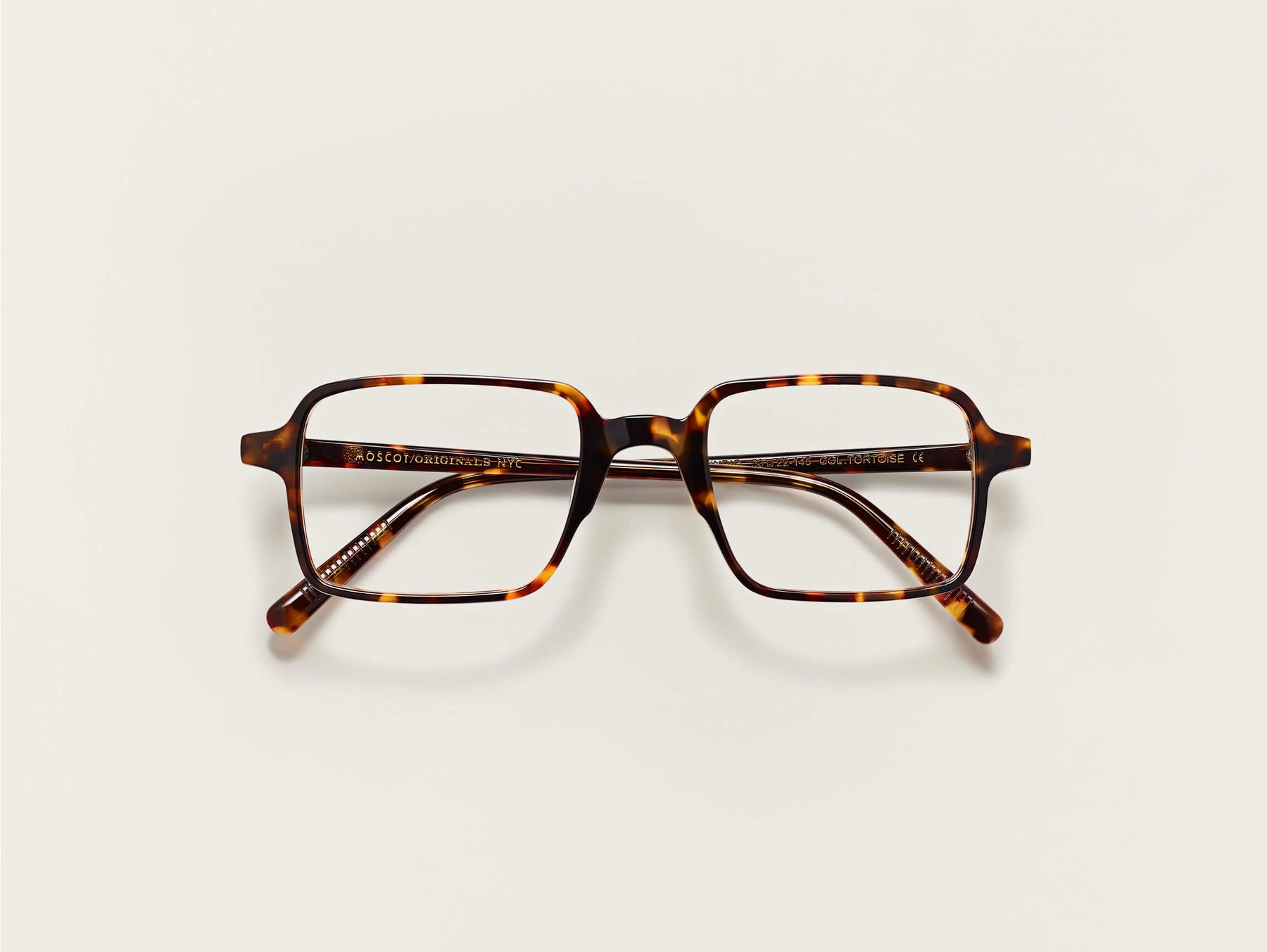 The SHINDIG in Tortoise The SHINDIG in Tortoise