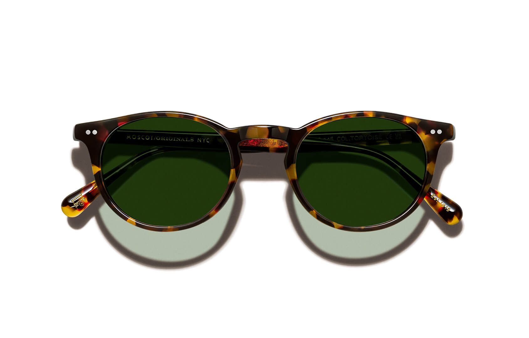 PAUL ANTHONY KELLY | THE FRANKIE SUN