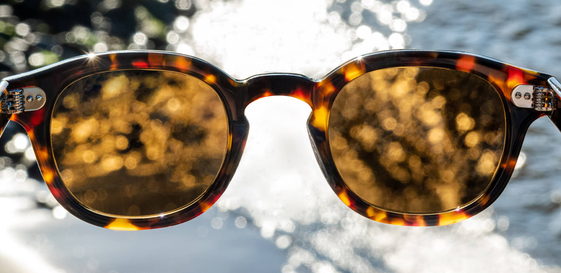 Shop Polarized Sunglasses