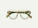 The MILTZEN in Citron/Tortoise with GREEN+ Lenses