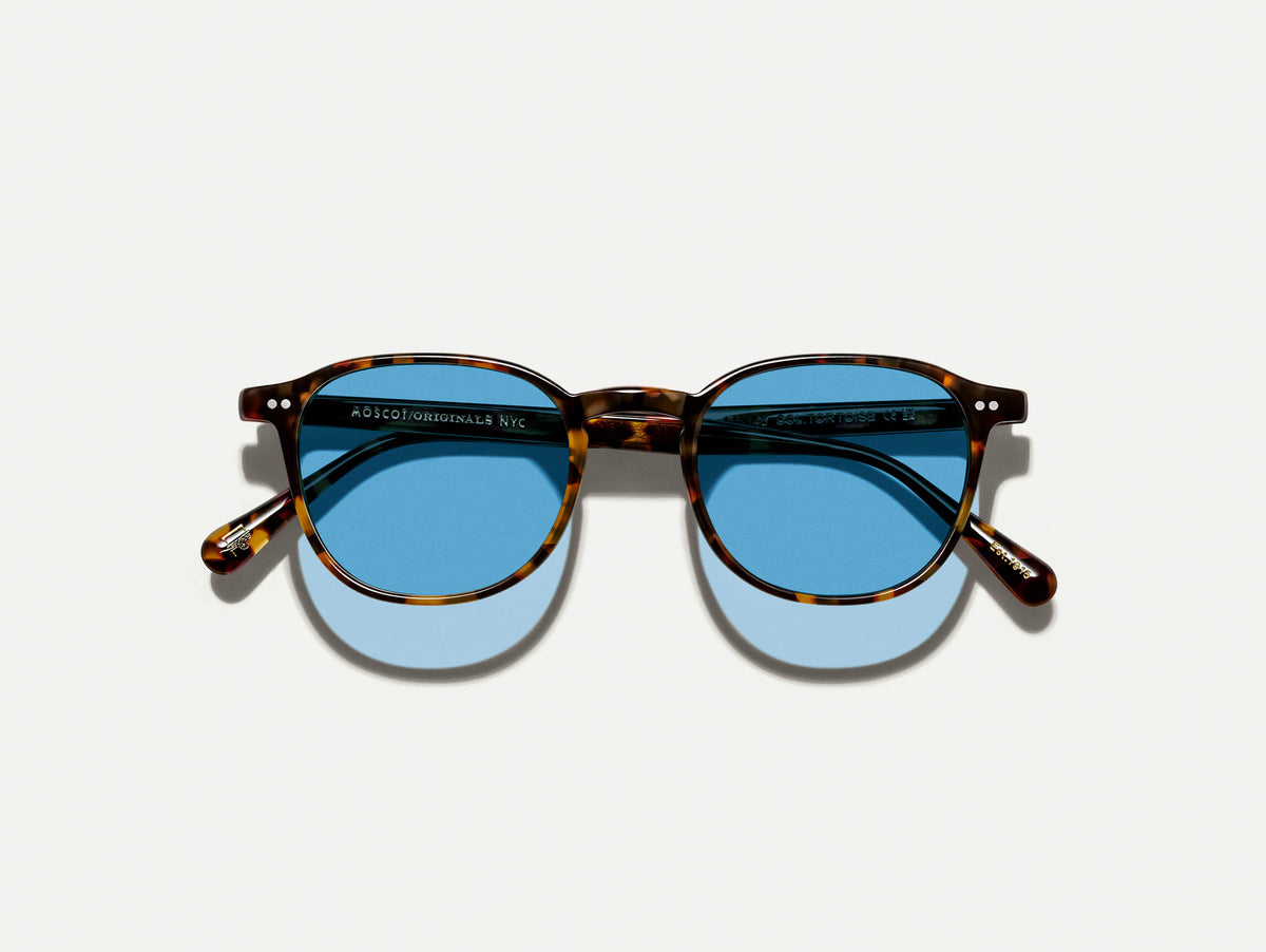 Die ARTHUR SUN in Tortoise mit Celebrity Blue getönten Gläsern