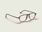 The BISHEART in Tortoise