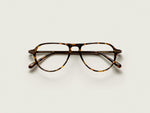 The BISHEART in Tortoise
