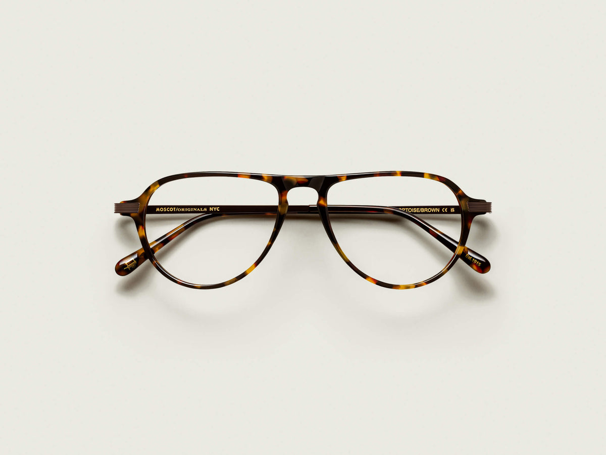 The BISHEART in Tortoise