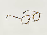 Der FANAGLE in Tortoise