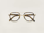 Der FANAGLE in Tortoise