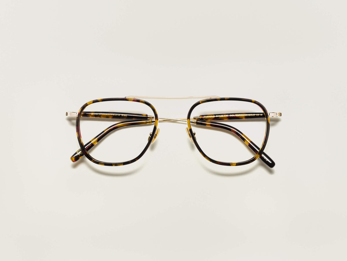 Der FANAGLE in Tortoise