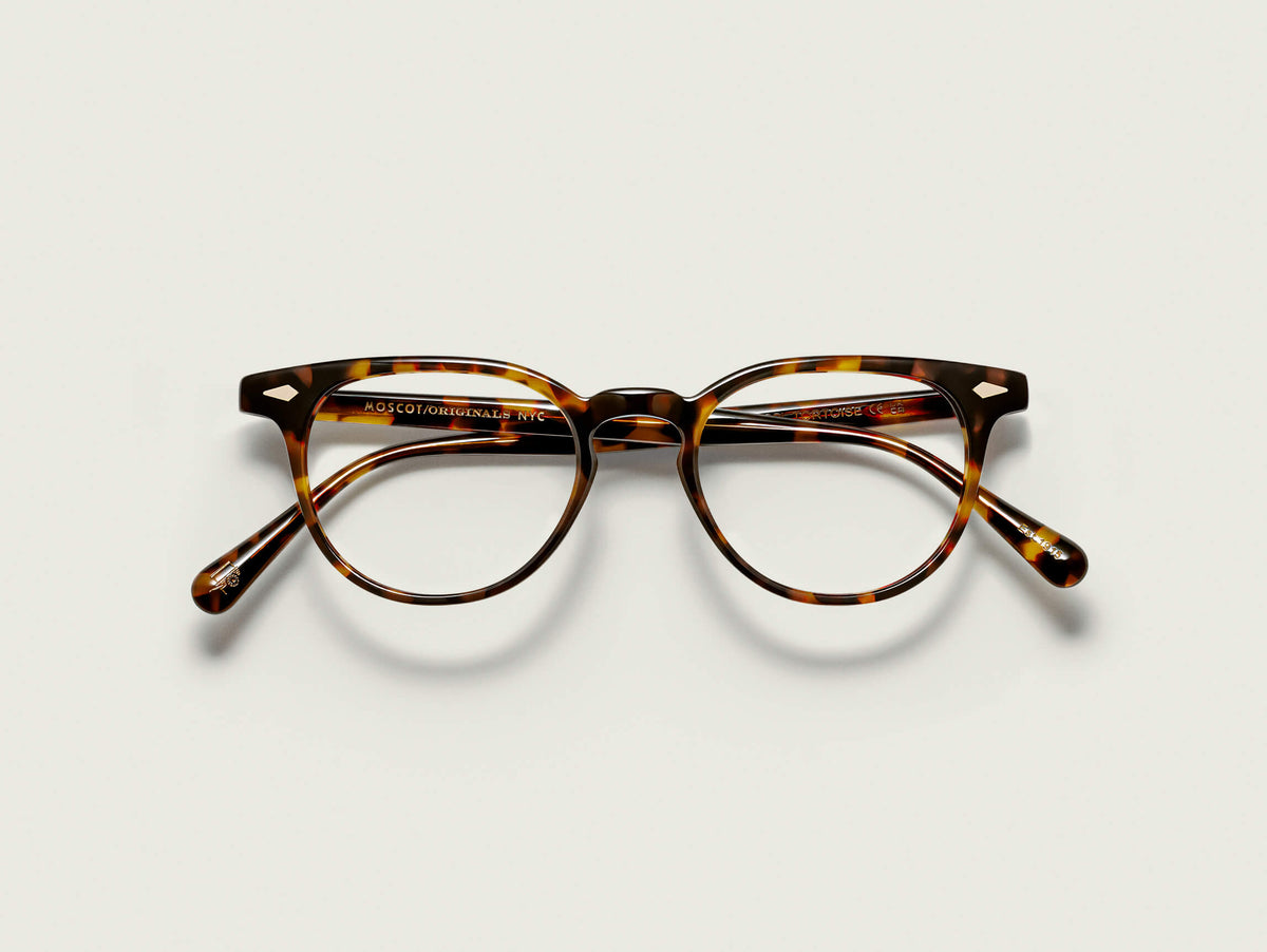 Der FEVEL in Tortoise