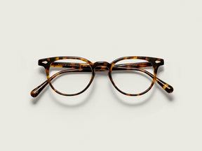 #color_tortoise | The FEVEL in Tortoise