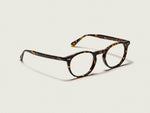 Der FRANKIE in Tortoise