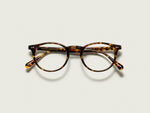 Der FRANKIE in Tortoise