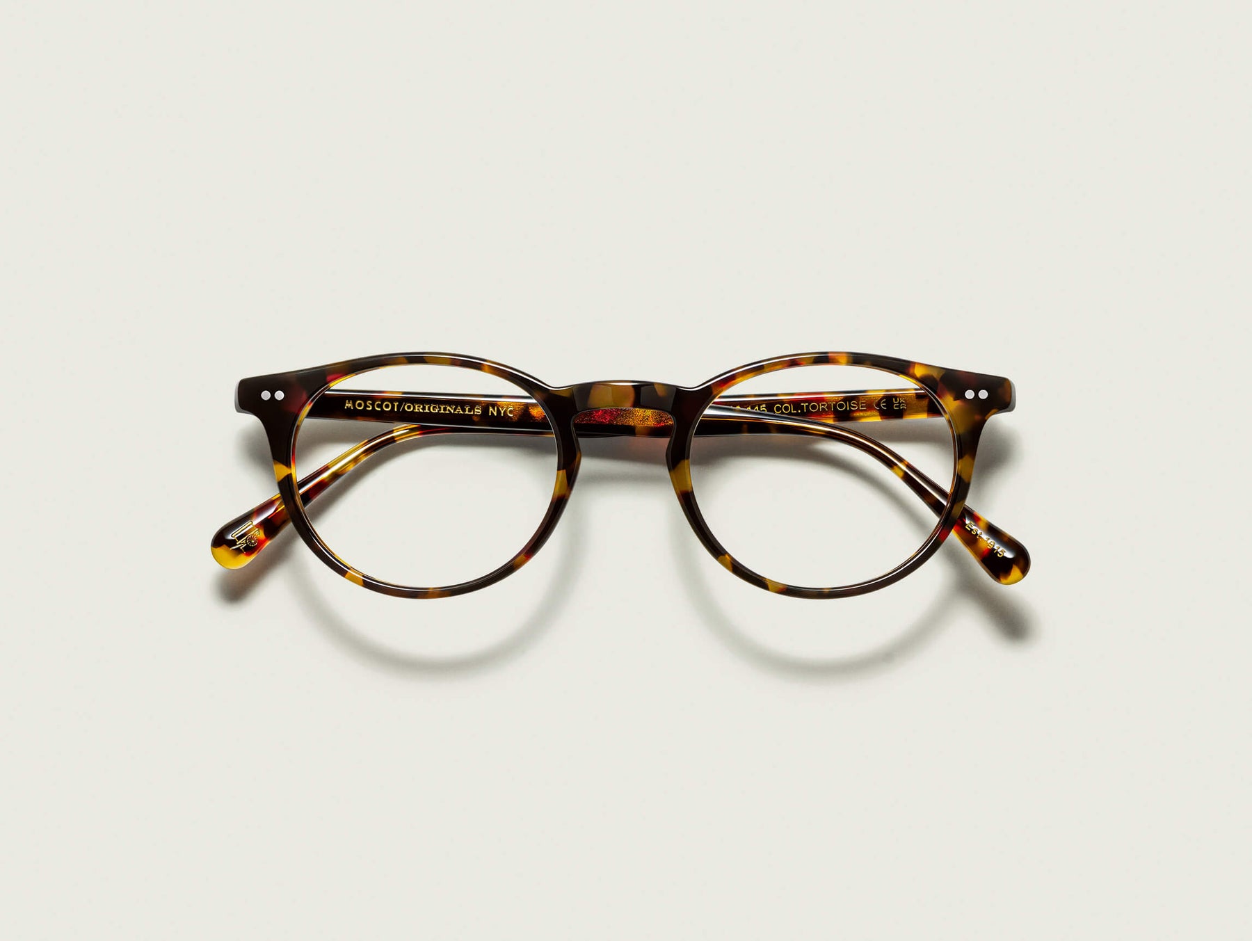 The FRANKIE in Tortoise