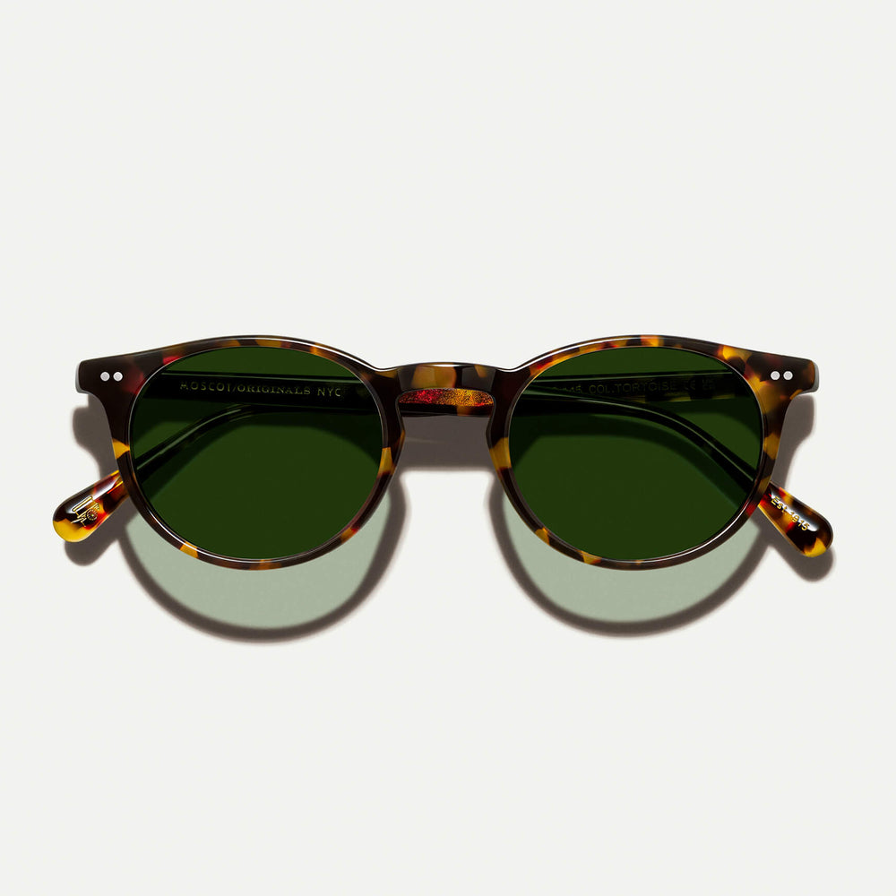 #color_tortoise | The FRANKIE SUN in Tortoise with Ever Green Tinted Lenses