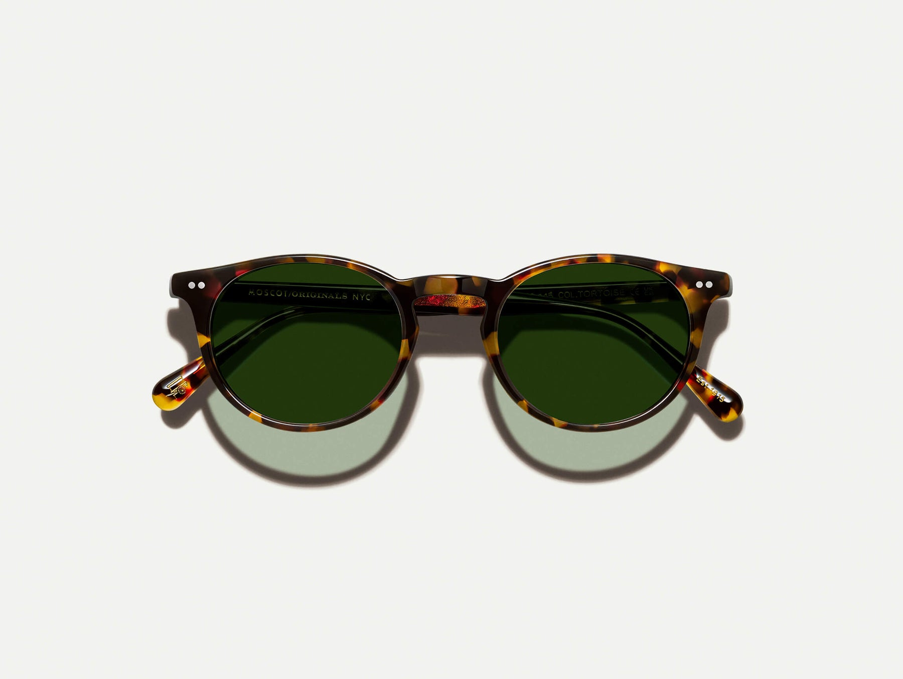 The FRANKIE SUN in Tortoise with Ever Green Tinted Lenses