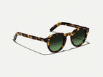 The GAVOLT SUN in Classic Havana with Forest Wood Tinted Lenses