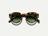 #color_classic havana | The GAVOLT SUN in Classic Havana with Forest Wood Tinted Lenses
