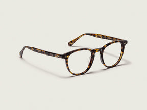 #color_spot tortoise 