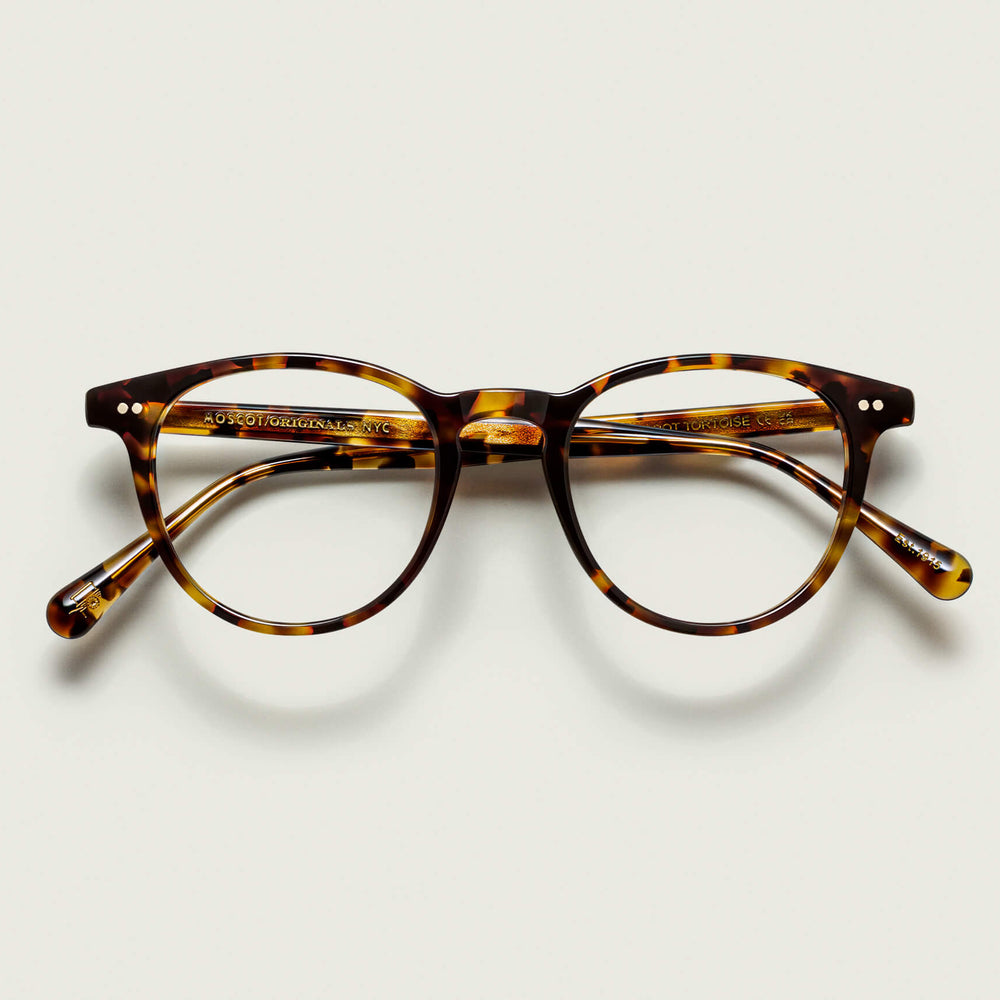 #color_spot tortoise | The JARED in Spot Tortoise