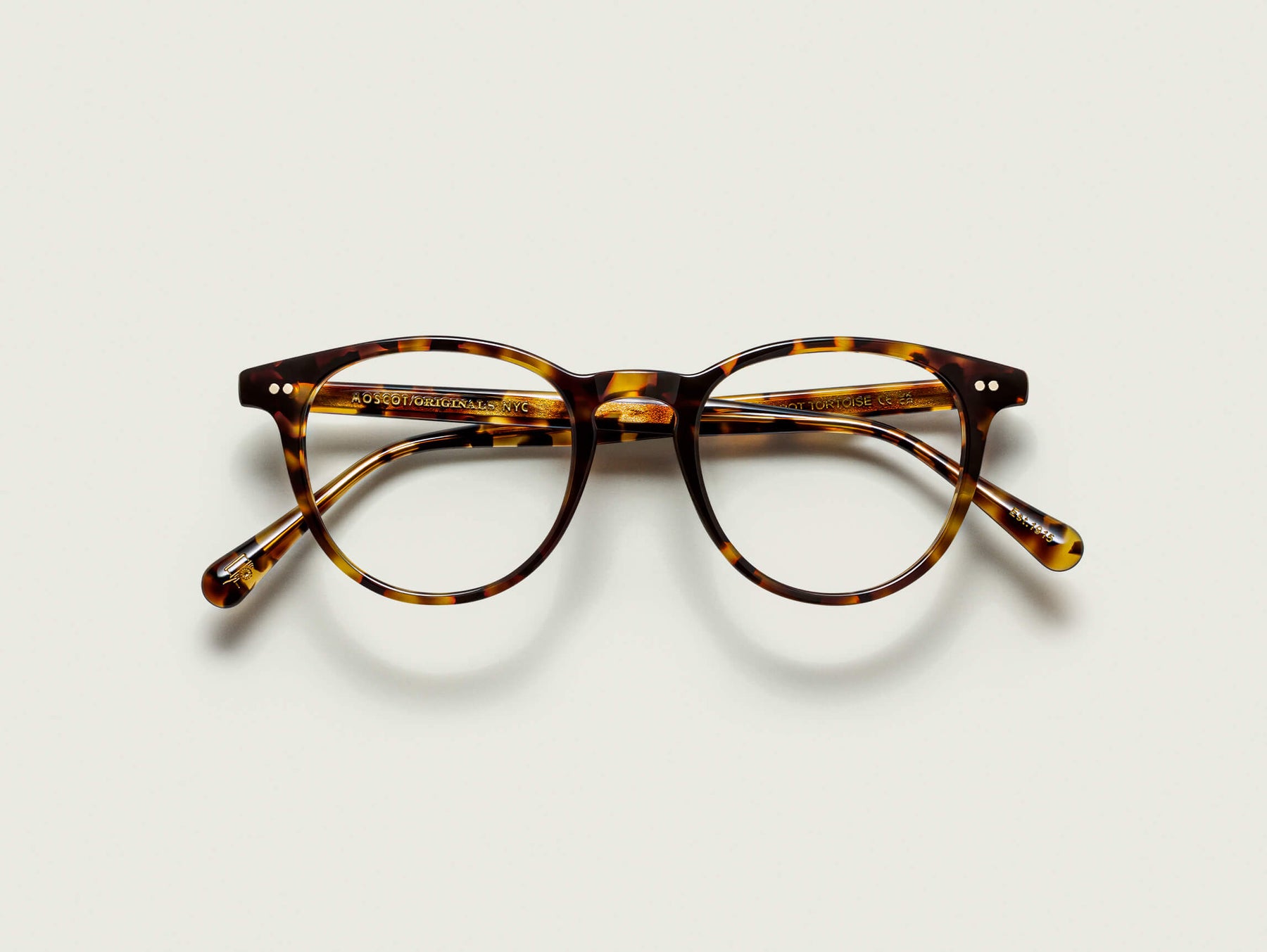 The JARED in Spot Tortoise