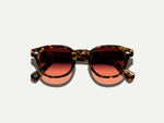 LEMTOSH TORTOISE WITH CUSTOM MADE TINTS™ - Cabernet / 44