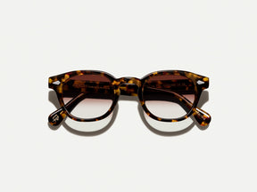 #color_root beer fade | The LEMTOSH Tortoise with Root Beer Fade Tinted Lenses