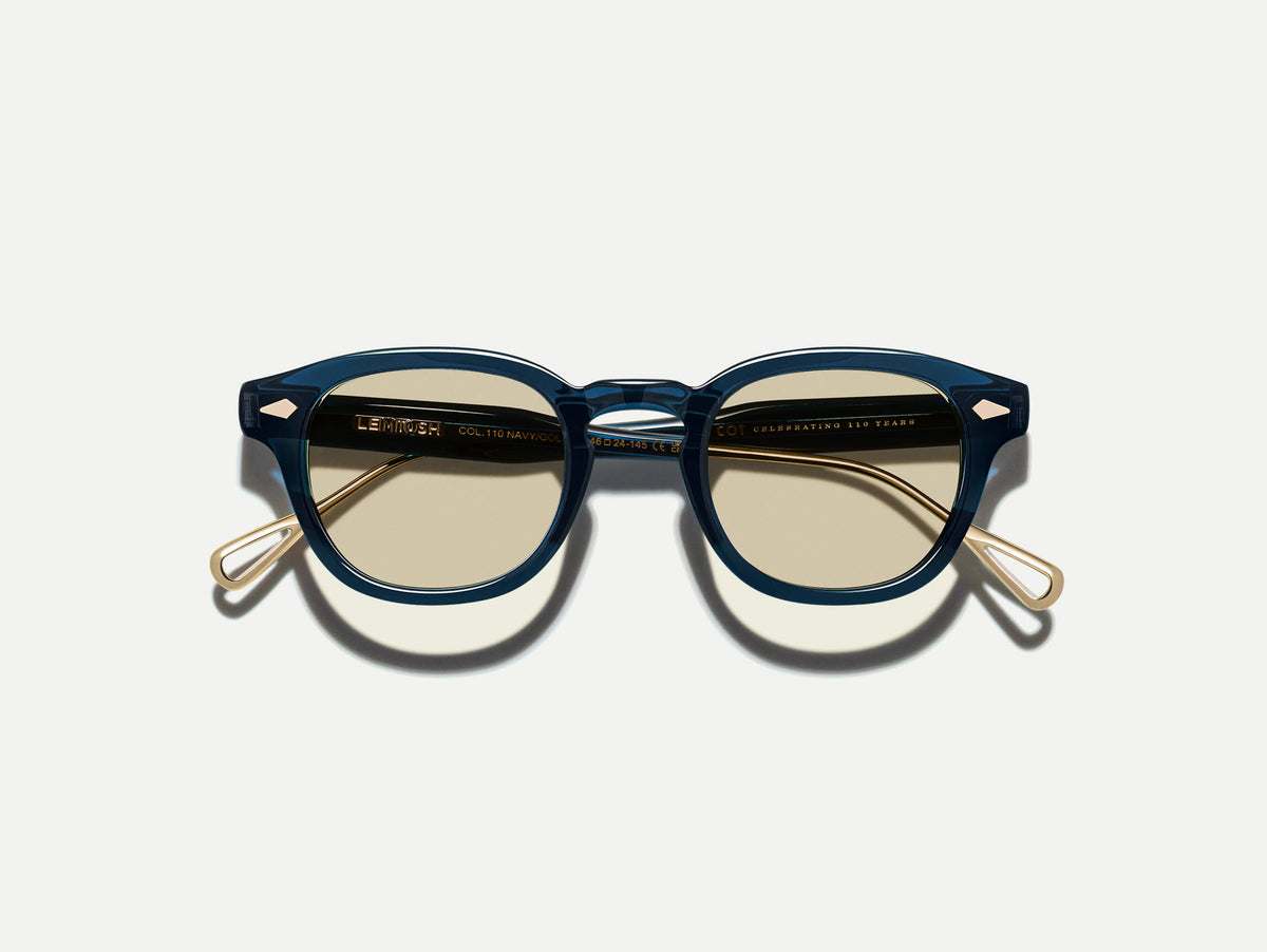 #color_navy/gold | The LEMTOSH-TT 110 SUN in Navy/Gold with BROWN+ Lenses
