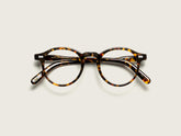 #color_tortoise | The MILTZEN in Tortoise