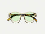 نظارة MILTZEN بلون Citron/Tortoise مع عدسات GREEN+
