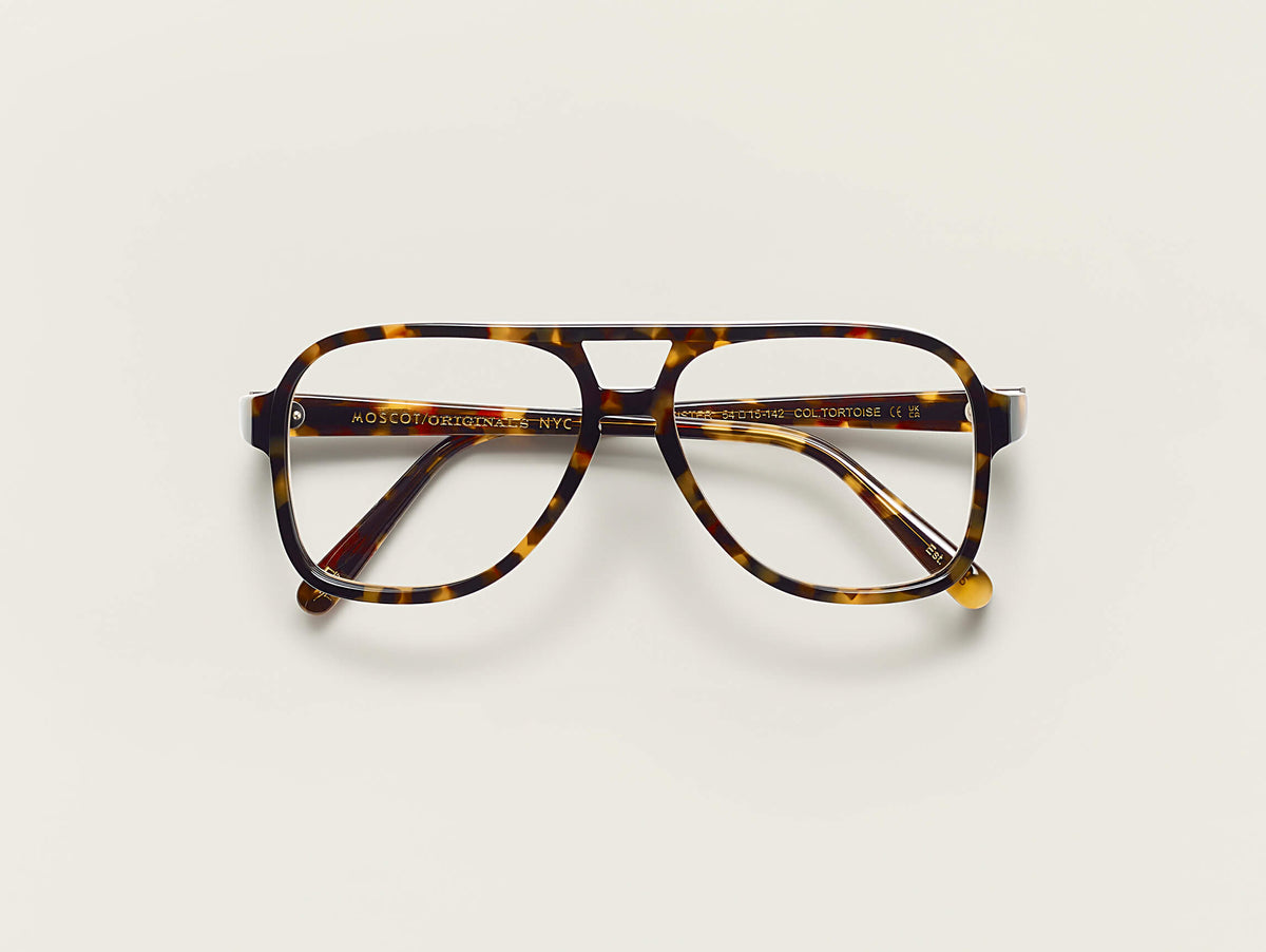 Die SHEISTER in Tortoise