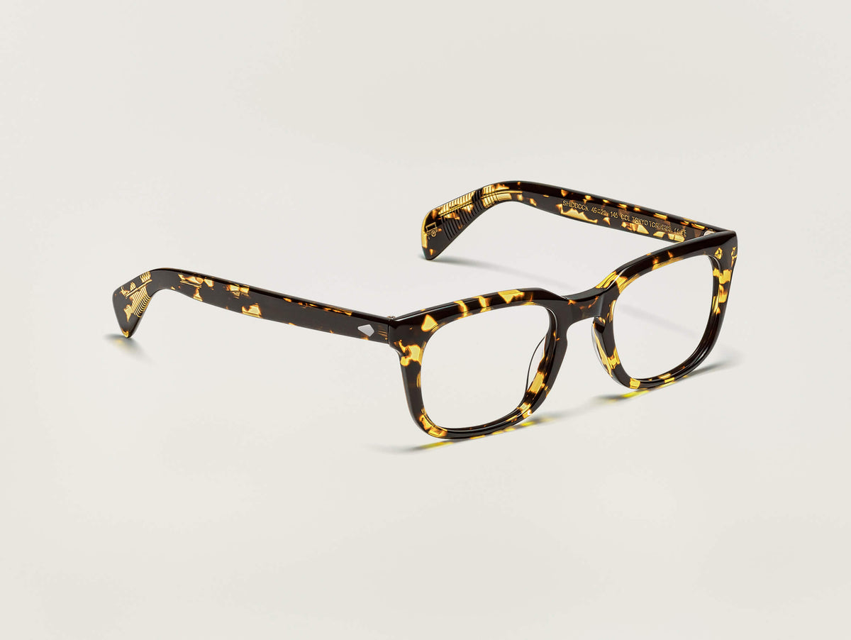 SHIDDOCK i Tokyo Tortoise