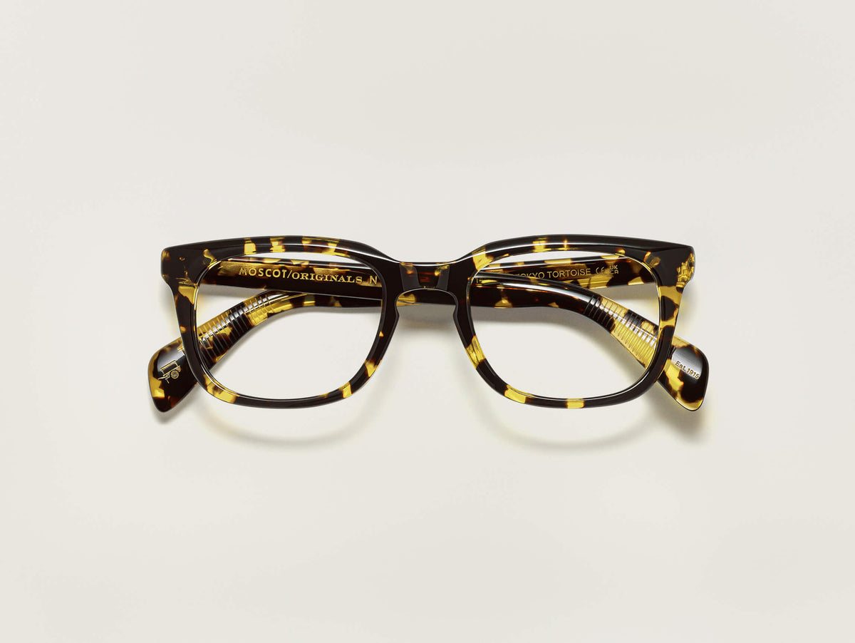 SHIDDOCK i Tokyo Tortoise