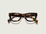 Die SPILKES in Tortoise