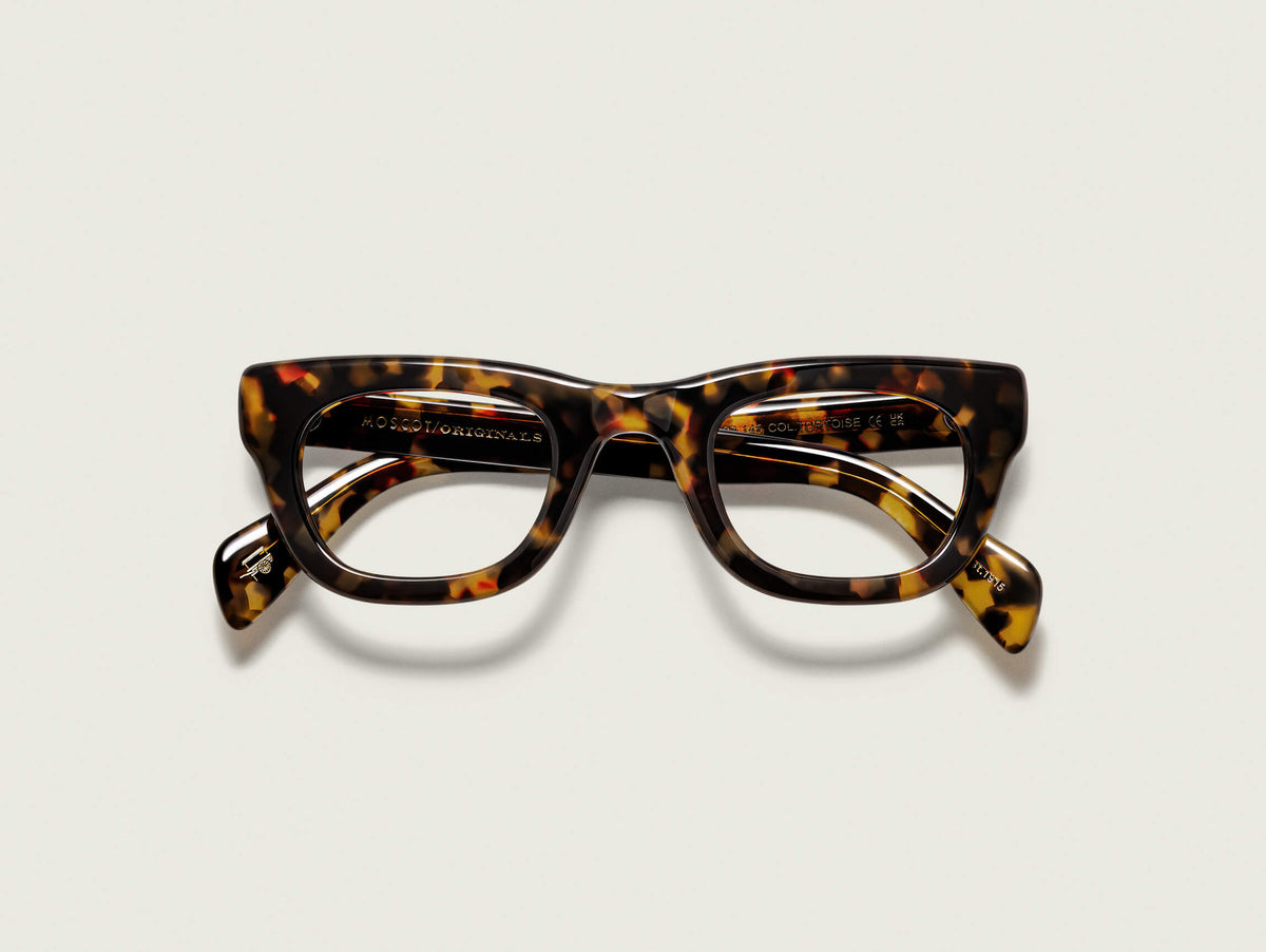 Die SPILKES in Tortoise