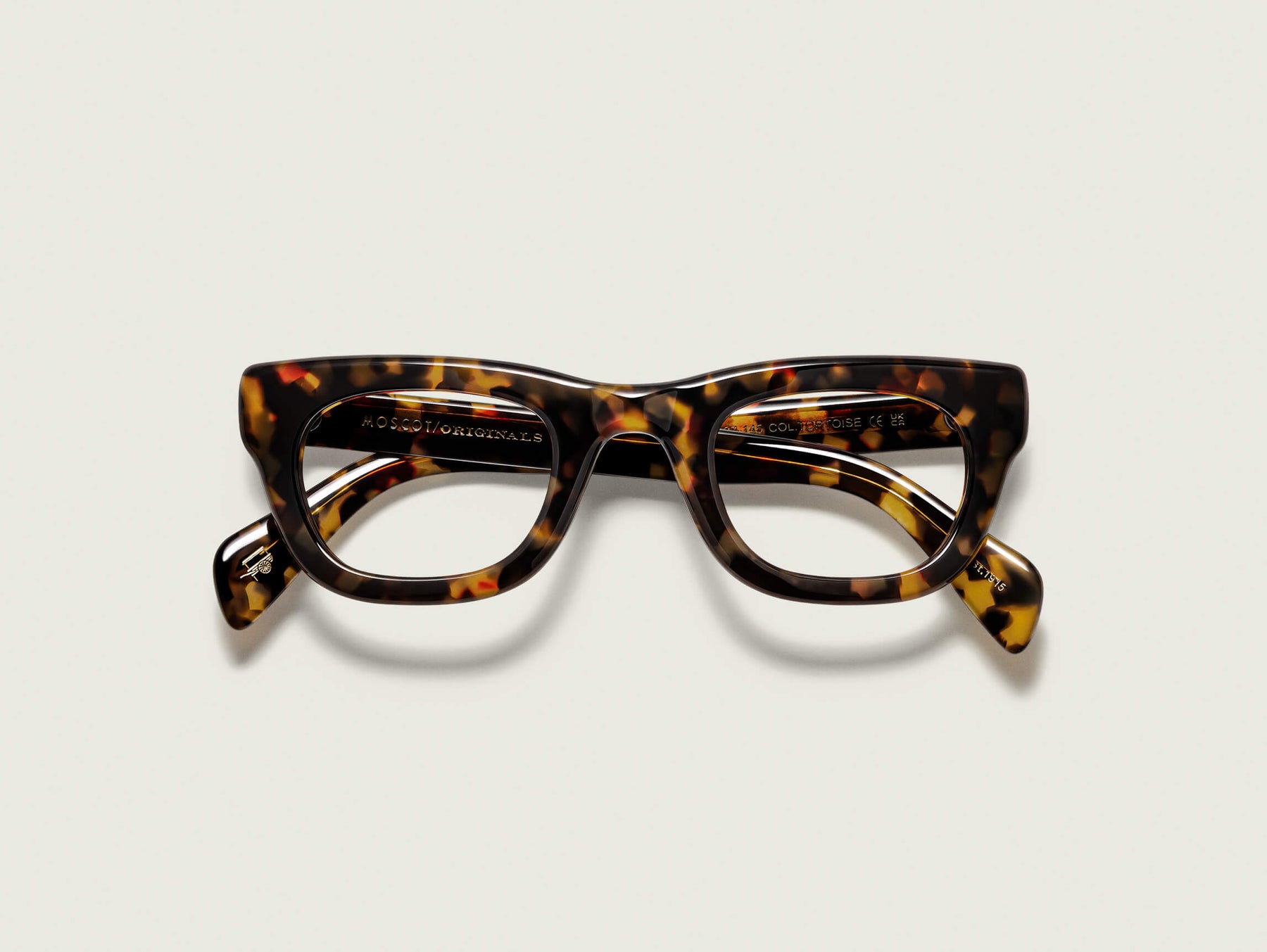 The SPILKES in Tortoise