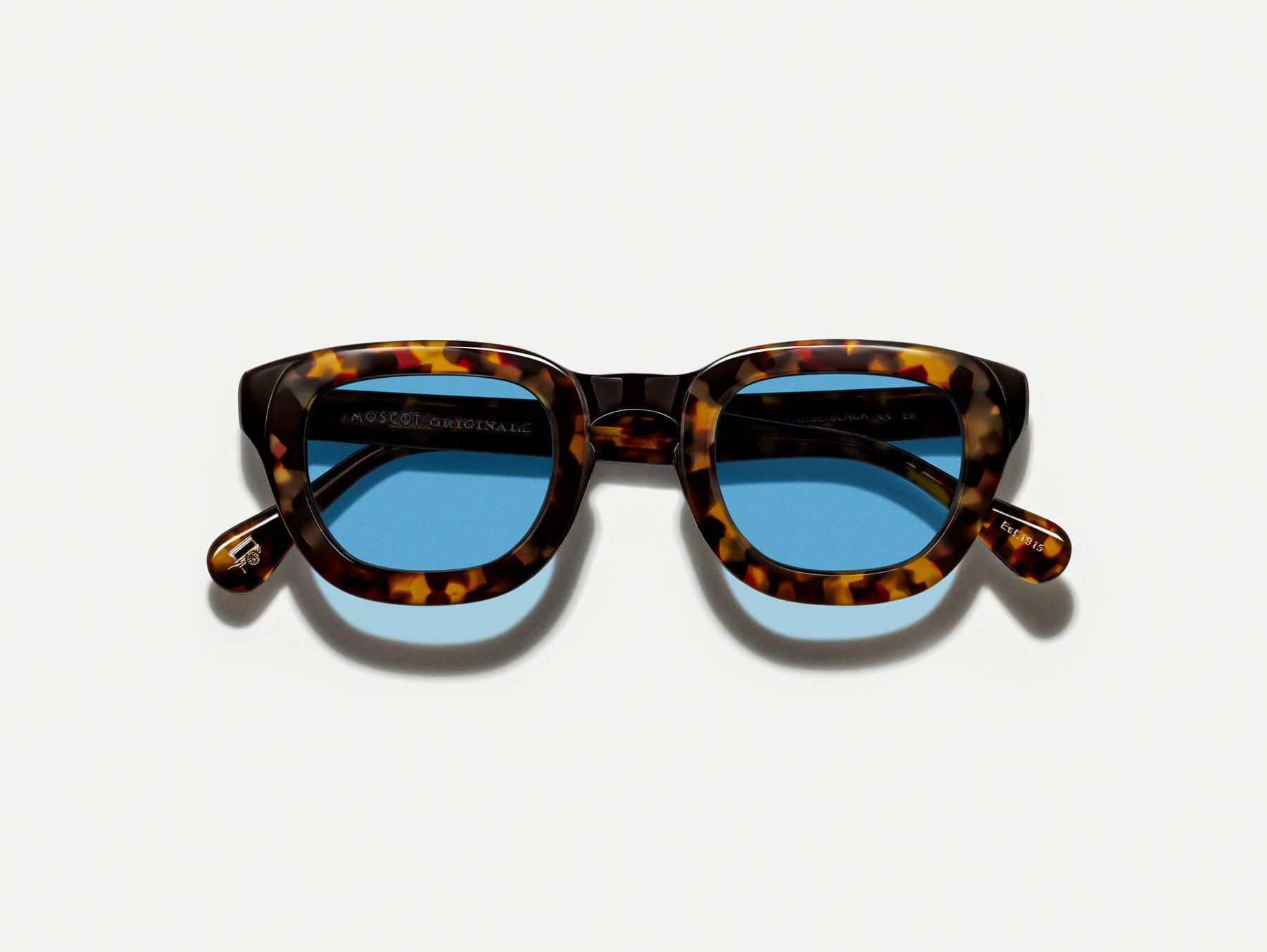 The TELENA in Tortoise/Black with Celebrity Blue Tinted Lenses