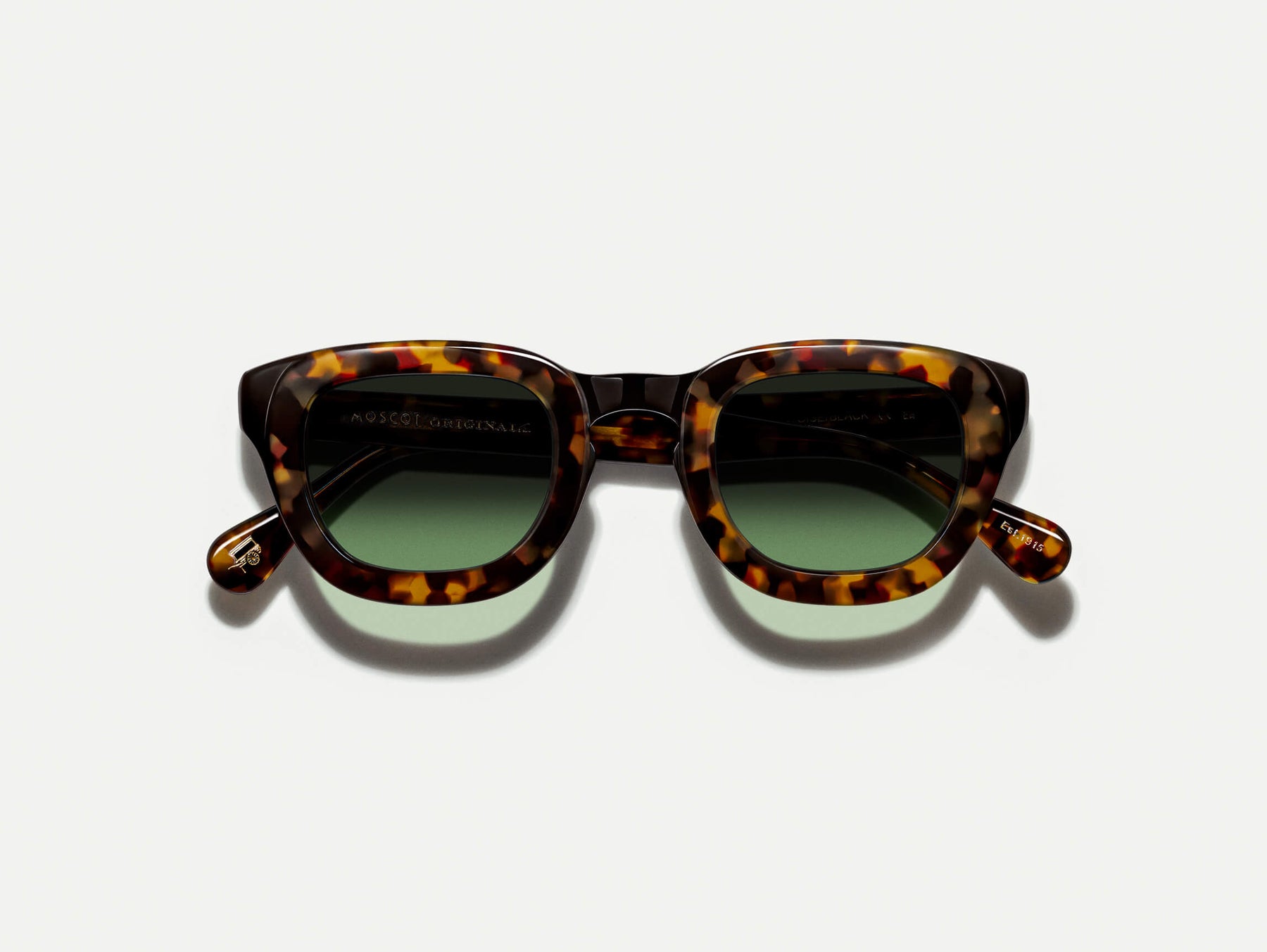 The TELENA in Tortoise/Black with Forest Wood Tinted Lenses