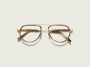 #color_bamboo | The TRAIF in Bamboo
