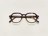 #color_tortoise | The YENEM in Tortoise