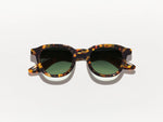 The DAHVEN in Tortoise with Forest Wood Tinted Lenses